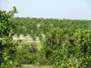 8420 E Twitty Rd photo